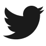 アイコン:Twitter