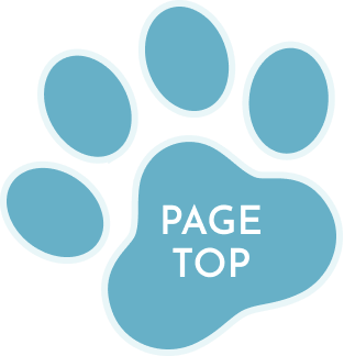 ボタン:PAGE TOP